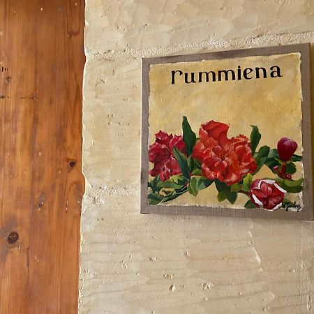 Botanica B&B Xagħra Kültér fotó